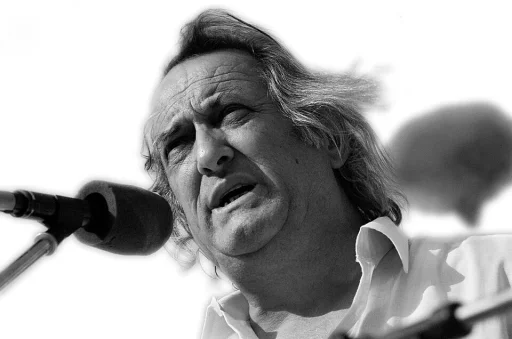 Ion Vatamanu