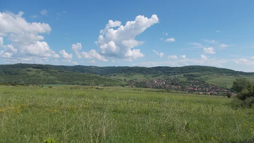 Malovăț