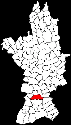 Studina