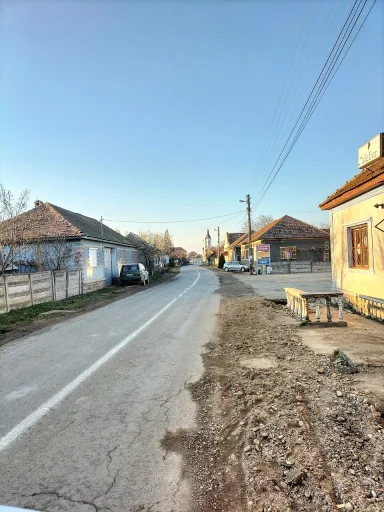 Petid