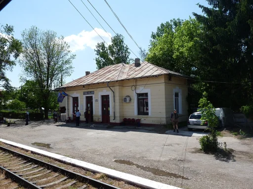 Târgu Bujor
