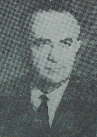 Aurel Moga