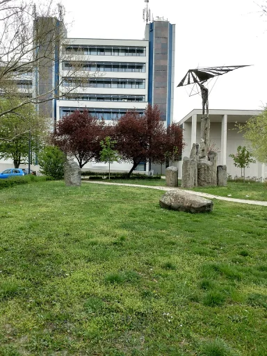 Universitatea Széchenyi István