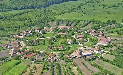 Județul Timiș