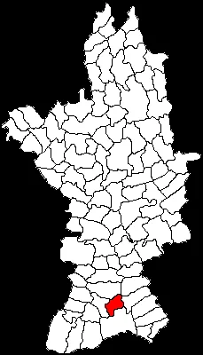 Vișina