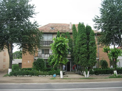 Ruginoasa