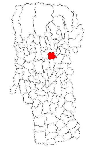 Vlădești