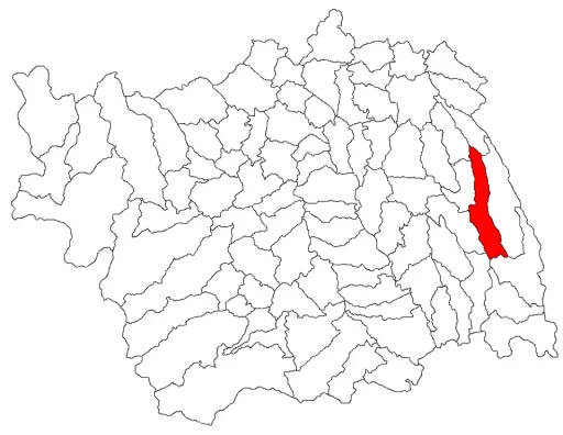 Stănișești