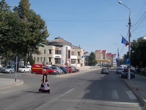 Negrești