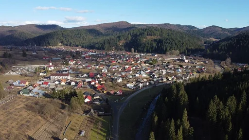 Putna