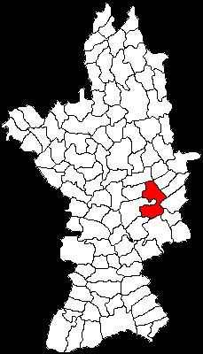 Stoicănești