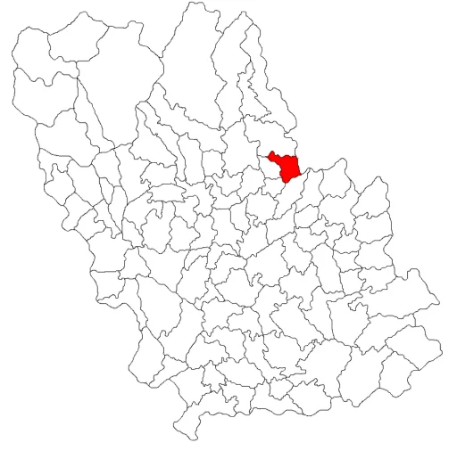 Cărbunești