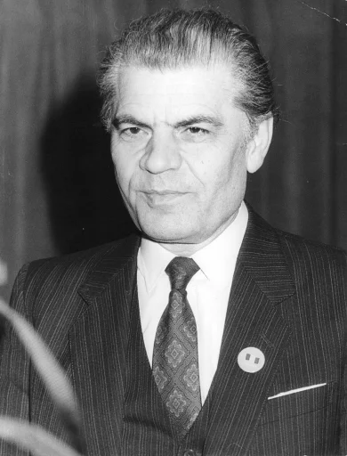 Dumitru Mazilu