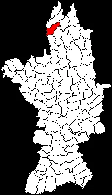 Vulturești