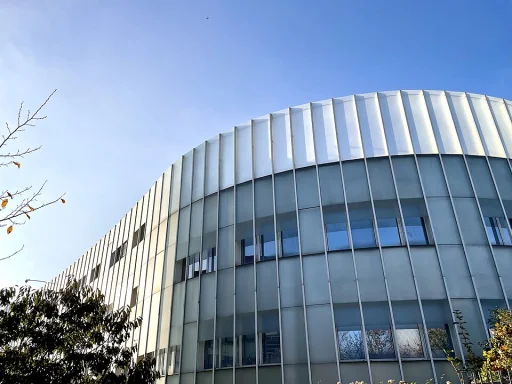 Paris 8 University