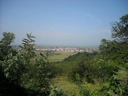 Hațeg