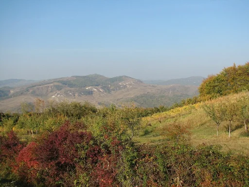 Tătaru