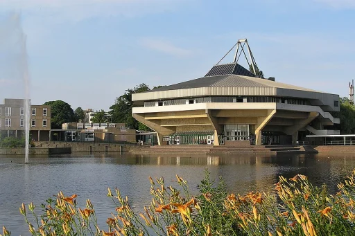 Universitatea din York