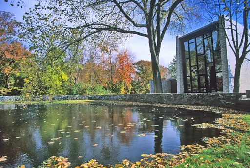 Universitatea Brandeis