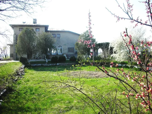 Singureni