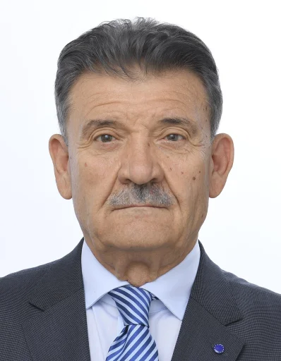 Mircea Hava