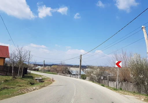 Dejești